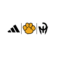 North Allegheny High School banner logo