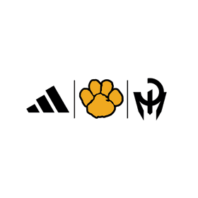 North Allegheny High School banner logo